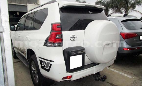 Comprar Usado Toyota Prado Branco Carro em Beira em Sofala Comprar Usado Toyota Prado Branco Carro em Beira em Sofala