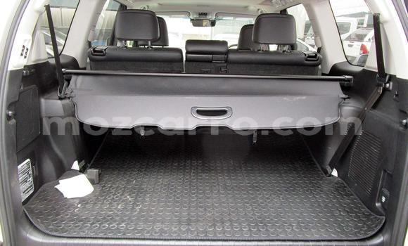 Comprar Usado Toyota Prado Branco Carro em Beira em Sofala Comprar Usado Toyota Prado Branco Carro em Beira em Sofala