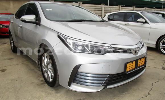 Nunua Ilio tumika Toyota Corolla Fedha Gari ndani ya Beira nchini Sofala