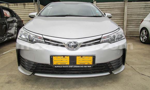 Comprar Usado Toyota Corolla Prata Carro em Beira em Sofala Comprar Usado Toyota Corolla Prata Carro em Beira em Sofala