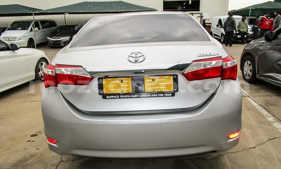 Comprar Usado Toyota Corolla Prata Carro em Beira em Sofala Comprar Usado Toyota Corolla Prata Carro em Beira em Sofala