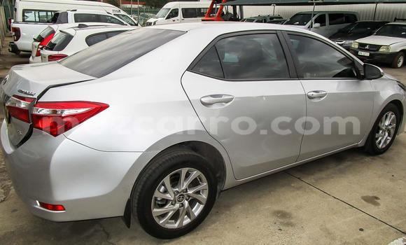 Comprar Usado Toyota Corolla Prata Carro em Beira em Sofala Comprar Usado Toyota Corolla Prata Carro em Beira em Sofala