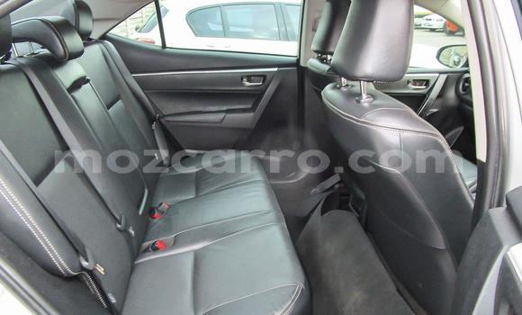Comprar Usado Toyota Corolla Prata Carro em Beira em Sofala Comprar Usado Toyota Corolla Prata Carro em Beira em Sofala
