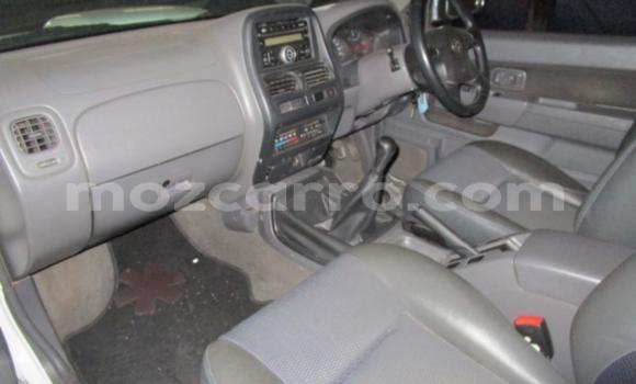 Comprar Usado Nissan Hardbody Branco Carro em Beira em Sofala Comprar Usado Nissan Hardbody Branco Carro em Beira em Sofala