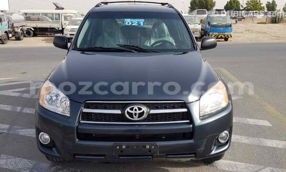 Comprar Importar Toyota RAV4 Verde Carro em Import - Dubai em Cabo Delgado Comprar Importar Toyota RAV4 Verde Carro em Import - Dubai em Cabo Delgado