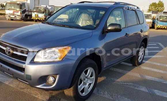 Comprar Importar Toyota RAV4 Azul Carro em Import - Dubai em Cabo Delgado Comprar Importar Toyota RAV4 Azul Carro em Import - Dubai em Cabo Delgado