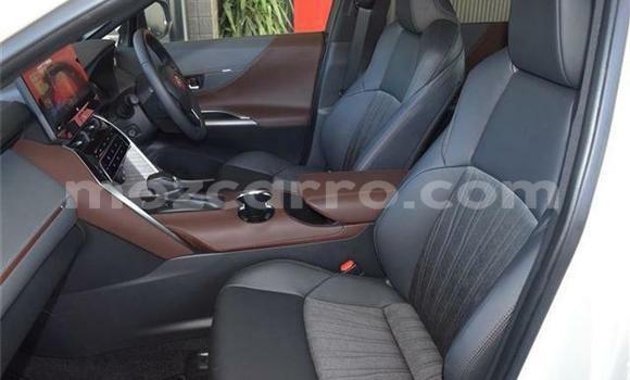 Tenga Tsaru Toyota Harrier Chena Mota in Manhiça in Maputo Tenga Tsaru Toyota Harrier Chena Mota in Manhiça in Maputo