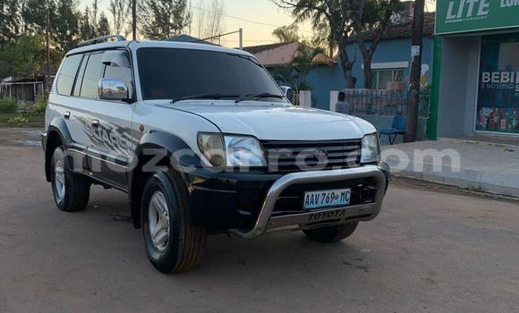 Tenga Tsaru Toyota Land Cruiser Prado Sirivha Mota in Maputo in Maputo Tenga Tsaru Toyota Land Cruiser Prado Sirivha Mota in Maputo in Maputo