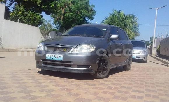 Buy Used Toyota Runx Other Car in Maputo in Maputo