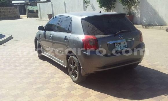 Tenga Tsaru Toyota Runx Zvimwe Mota in Maputo in Maputo Tenga Tsaru Toyota Runx Zvimwe Mota in Maputo in Maputo