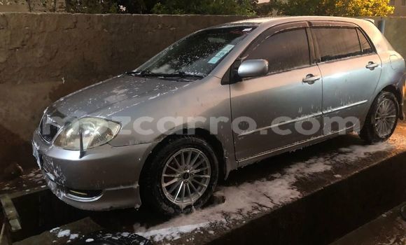 Tenga Tsaru Toyota Runx Sirivha Mota in Maputo in Maputo