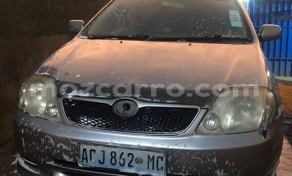 Tenga Tsaru Toyota Runx Sirivha Mota in Maputo in Maputo Tenga Tsaru Toyota Runx Sirivha Mota in Maputo in Maputo