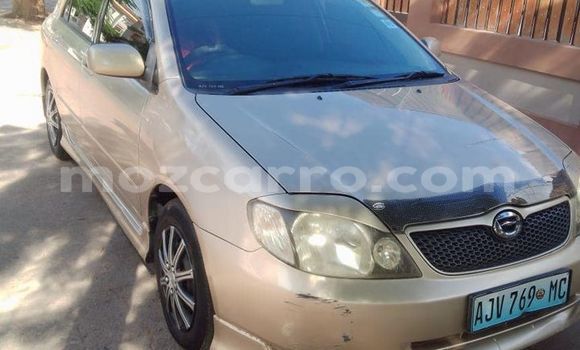 Tenga Tsaru Toyota Runx Beige Mota in Maputo in Maputo Tenga Tsaru Toyota Runx Beige Mota in Maputo in Maputo