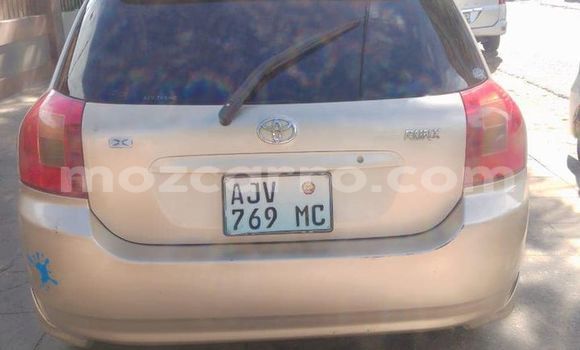 Tenga Tsaru Toyota Runx Beige Mota in Maputo in Maputo Tenga Tsaru Toyota Runx Beige Mota in Maputo in Maputo