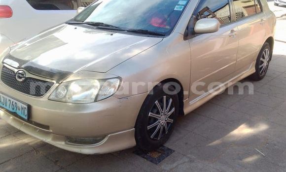 Tenga Tsaru Toyota Runx Beige Mota in Maputo in Maputo Tenga Tsaru Toyota Runx Beige Mota in Maputo in Maputo