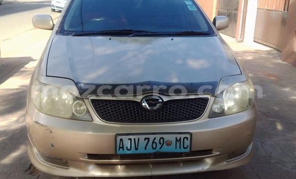 Tenga Tsaru Toyota Runx Beige Mota in Maputo in Maputo Tenga Tsaru Toyota Runx Beige Mota in Maputo in Maputo