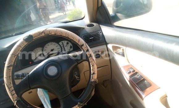 Tenga Tsaru Toyota Runx Beige Mota in Maputo in Maputo Tenga Tsaru Toyota Runx Beige Mota in Maputo in Maputo