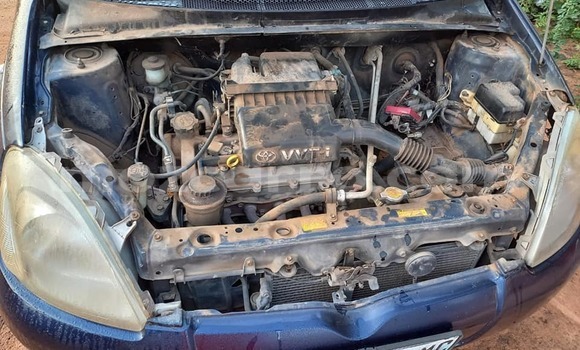 Tenga Tsaru Toyota Vitz Bhuruu Mota in Maputo in Maputo Tenga Tsaru Toyota Vitz Bhuruu Mota in Maputo in Maputo