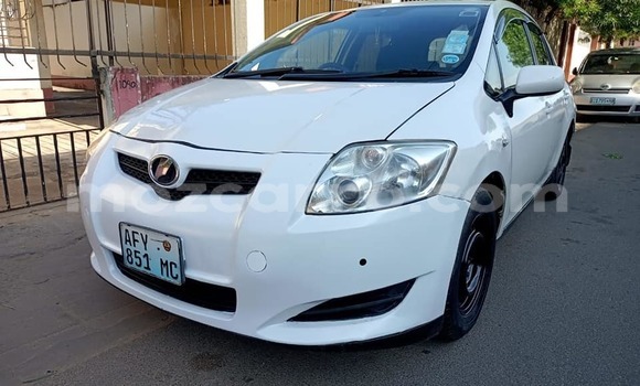 Tenga Tsaru Toyota Auris Chena Mota in Maputo in Maputo Tenga Tsaru Toyota Auris Chena Mota in Maputo in Maputo