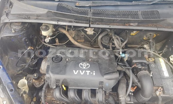 Tenga Tsaru Toyota Vitz Sirivha Mota in Maputo in Maputo Tenga Tsaru Toyota Vitz Sirivha Mota in Maputo in Maputo