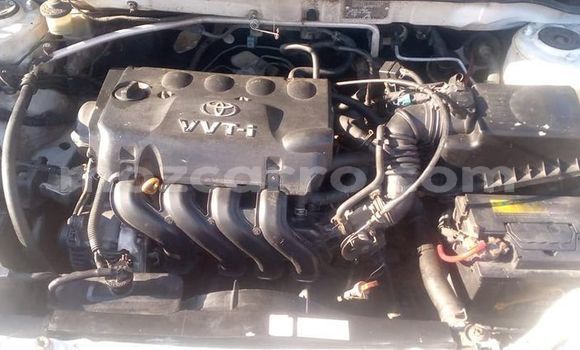 Tenga Tsaru Toyota Runx Chena Mota in Maputo in Maputo Tenga Tsaru Toyota Runx Chena Mota in Maputo in Maputo