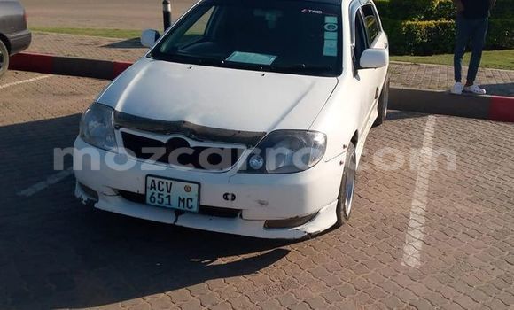 Tenga Tsaru Toyota Runx Chena Mota in Maputo in Maputo Tenga Tsaru Toyota Runx Chena Mota in Maputo in Maputo