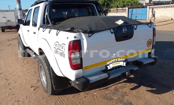 Tenga Tsaru Nissan Hardbody Chena Mota in Maputo in Maputo Tenga Tsaru Nissan Hardbody Chena Mota in Maputo in Maputo