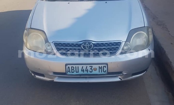 Tenga Tsaru Toyota Runx Sirivha Mota in Maputo in Maputo Tenga Tsaru Toyota Runx Sirivha Mota in Maputo in Maputo