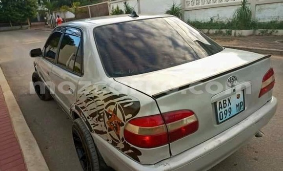 Tenga Tsaru Toyota Corolla Sirivha Mota in Maputo in Maputo Tenga Tsaru Toyota Corolla Sirivha Mota in Maputo in Maputo