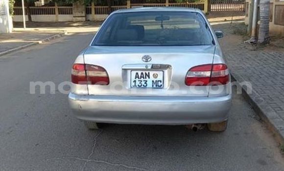 Tenga Tsaru Toyota Corolla Sirivha Mota in Maputo in Maputo Tenga Tsaru Toyota Corolla Sirivha Mota in Maputo in Maputo