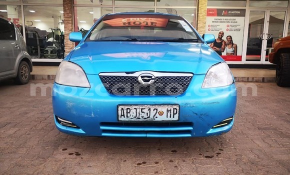 Tenga Tsaru Toyota Runx Bhuruu Mota in Maputo in Maputo Tenga Tsaru Toyota Runx Bhuruu Mota in Maputo in Maputo