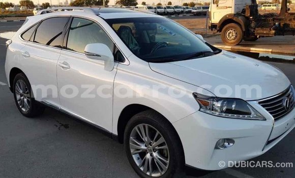 Nunua Imported Lexus RX 350 Nyeupe Gari ndani ya Import - Dubai nchini Cabo Delgado Nunua Imported Lexus RX 350 Nyeupe Gari ndani ya Import - Dubai nchini Cabo Delgado