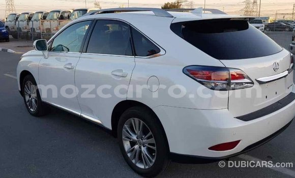 Nunua Imported Lexus RX 350 Nyeupe Gari ndani ya Import - Dubai nchini Cabo Delgado Nunua Imported Lexus RX 350 Nyeupe Gari ndani ya Import - Dubai nchini Cabo Delgado
