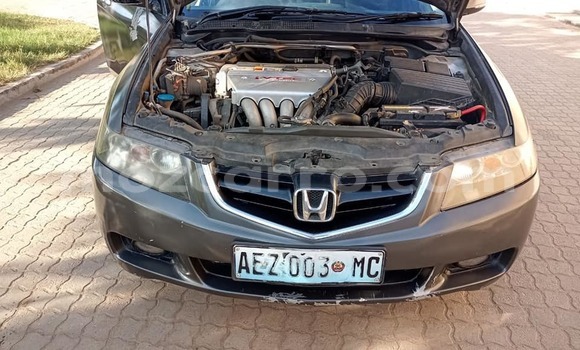 Tenga Tsaru Honda Accord Nhema Mota in Maputo in Maputo Tenga Tsaru Honda Accord Nhema Mota in Maputo in Maputo