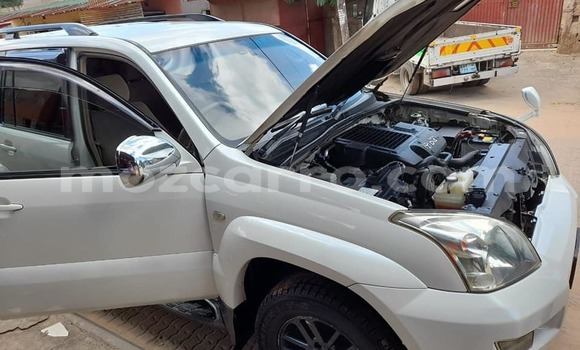 Tenga Tsaru Toyota Land Cruiser Prado Chena Mota in Maputo in Maputo Tenga Tsaru Toyota Land Cruiser Prado Chena Mota in Maputo in Maputo