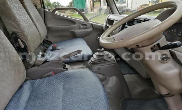 Tenga Tsaru Toyota Dyna Chena Rori in Maputo in Maputo Tenga Tsaru Toyota Dyna Chena Rori in Maputo in Maputo