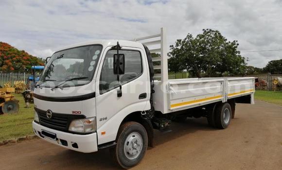 Tenga Tsaru Toyota Dyna Chena Rori in Maputo in Maputo Tenga Tsaru Toyota Dyna Chena Rori in Maputo in Maputo