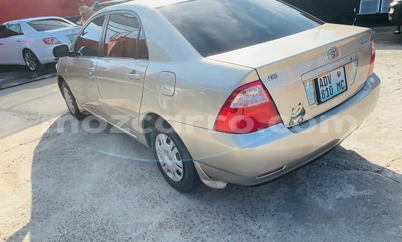 Tenga Tsaru Toyota Corolla Sirivha Mota in Maputo in Maputo Tenga Tsaru Toyota Corolla Sirivha Mota in Maputo in Maputo