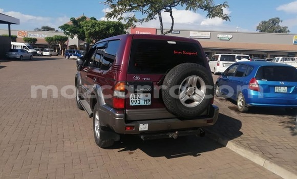 Buy Used Toyota Land Cruiser Prado Red Car in Maputo in Maputo Buy Used Toyota Land Cruiser Prado Red Car in Maputo in Maputo