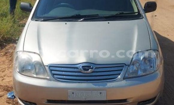 Buy Used Toyota Corolla Silver Car in Maputo in Maputo Buy Used Toyota Corolla Silver Car in Maputo in Maputo