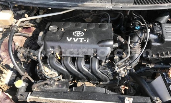 Buy Used Toyota Spacio Red Car in Maputo in Maputo Buy Used Toyota Spacio Red Car in Maputo in Maputo