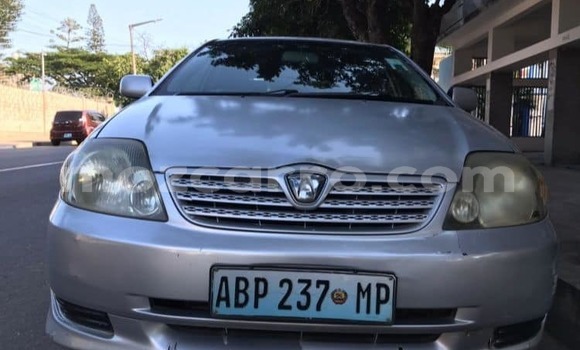 Buy Used Toyota Allex Silver Car in Maputo in Maputo