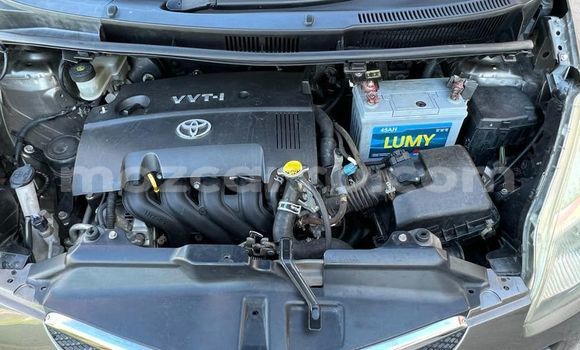 Buy Used Toyota Ractis Other Car in Maputo in Maputo Buy Used Toyota Ractis Other Car in Maputo in Maputo