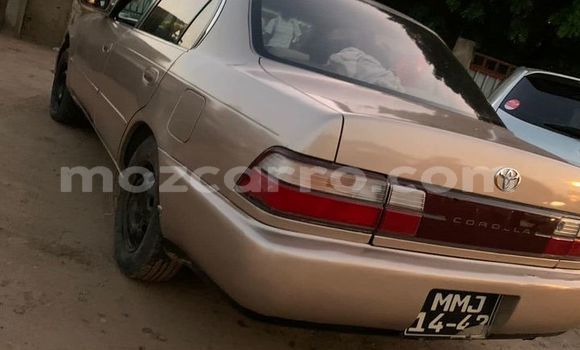 Comprar Usado Toyota Corolla Castanho Carro em Maputo em Maputo Comprar Usado Toyota Corolla Castanho Carro em Maputo em Maputo