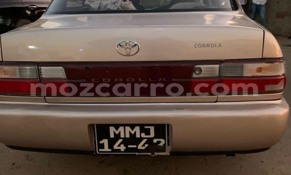 Comprar Usado Toyota Corolla Castanho Carro em Maputo em Maputo Comprar Usado Toyota Corolla Castanho Carro em Maputo em Maputo