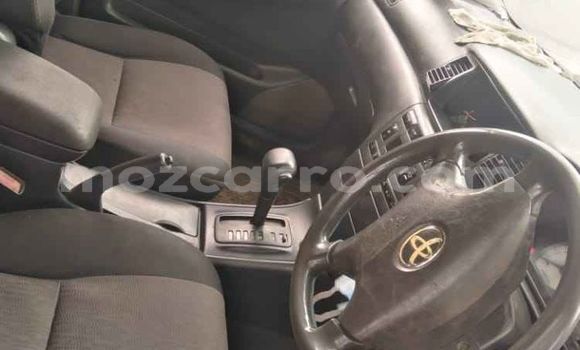 Tenga Tsaru Toyota Runx Nhema Mota in Maputo in Maputo Tenga Tsaru Toyota Runx Nhema Mota in Maputo in Maputo