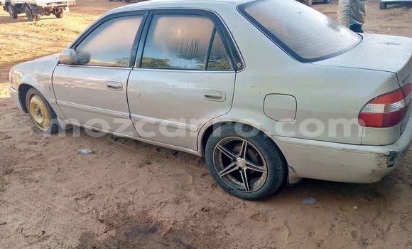 Tenga Tsaru Toyota Corolla Sirivha Mota in Maputo in Maputo Tenga Tsaru Toyota Corolla Sirivha Mota in Maputo in Maputo