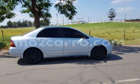 Buy Used Toyota Corolla Silver Car in Maputo in Maputo Buy Used Toyota Corolla Silver Car in Maputo in Maputo