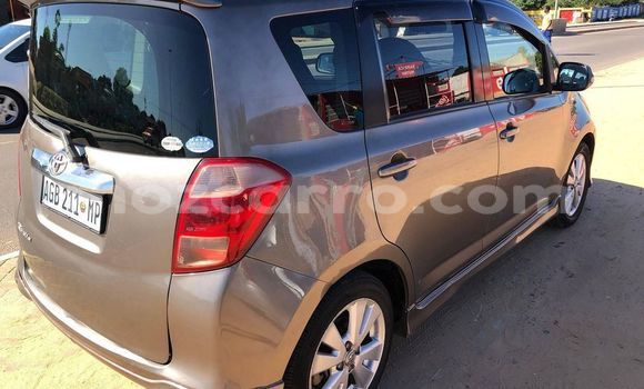 Buy Used Toyota Ractis Brown Car in Maputo in Maputo Buy Used Toyota Ractis Brown Car in Maputo in Maputo