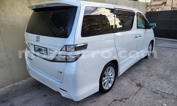 Nunua Ilio tumika Toyota Vellfire Nyeupe Gari ndani ya Maputo nchini Maputo